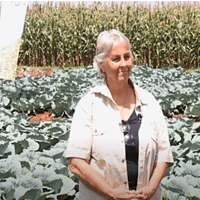 vegetable industry of Zimbabwe with AVANOS SEEDS